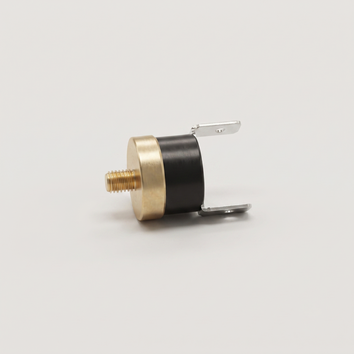 Termico de seguridad 60°C (250V / 10A)
